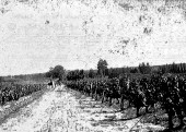 Wine production